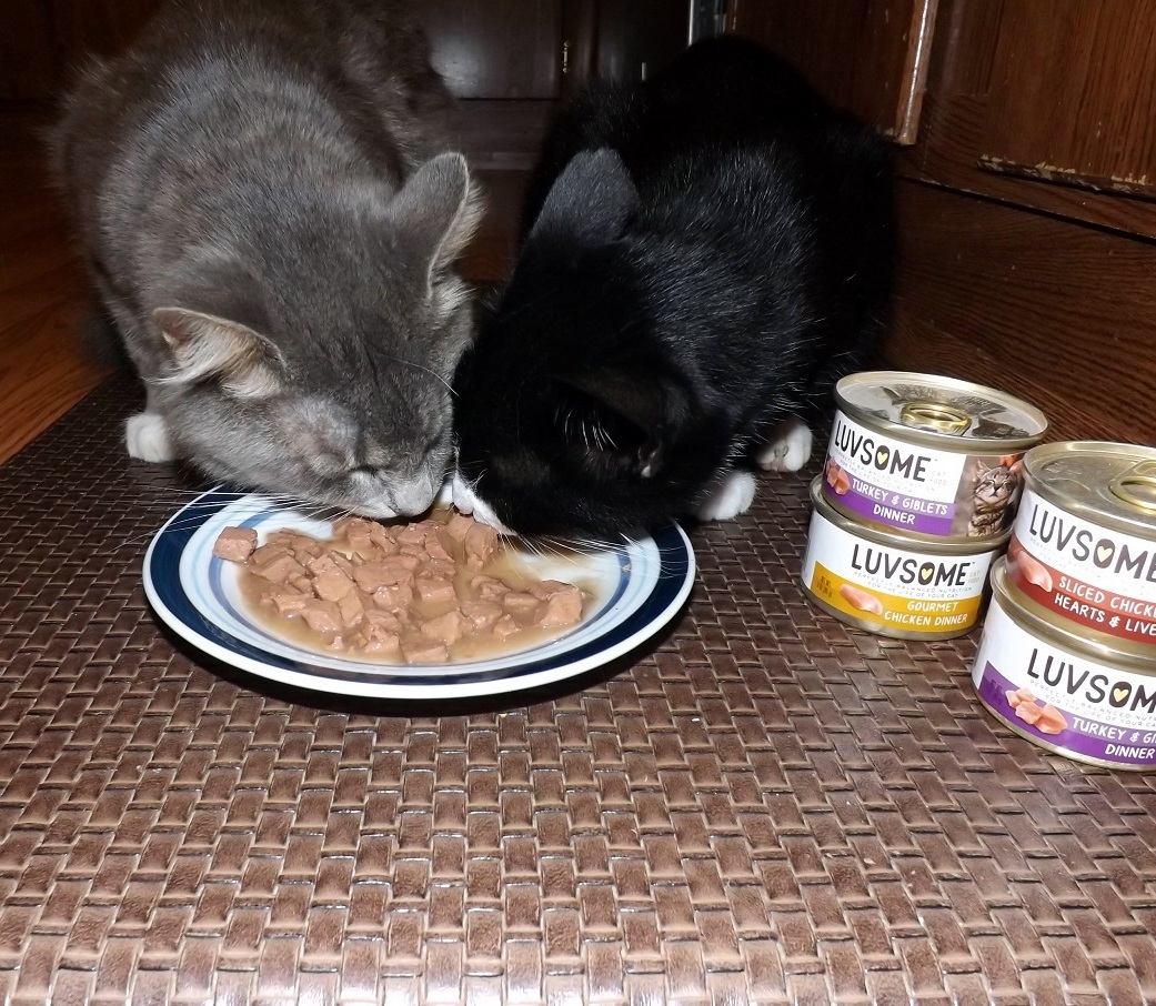 Luvsome Cat Food1